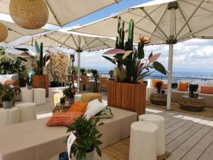 Wood Raumteiler inkl. Sansevieria 1